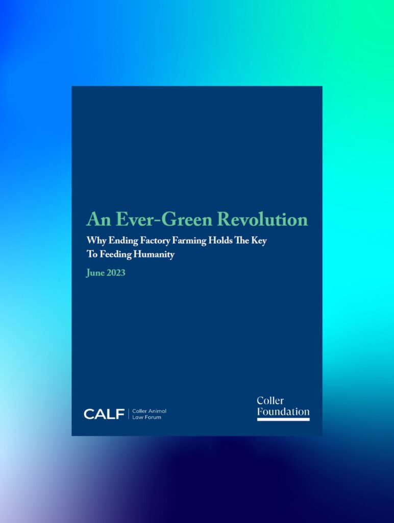 Ever-green Revolution Paper CALF - JCF - 1